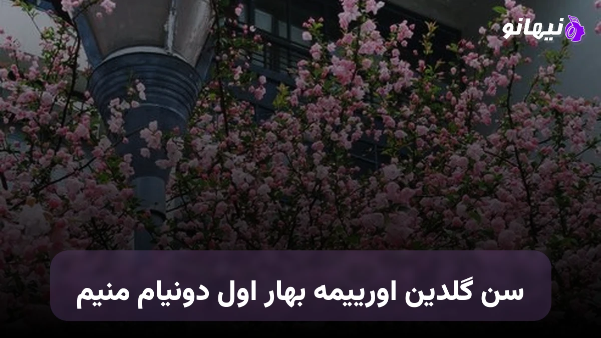 دانلود آهنگ سن گلدین اورییمه بهار اول دونیام منیم ترکی